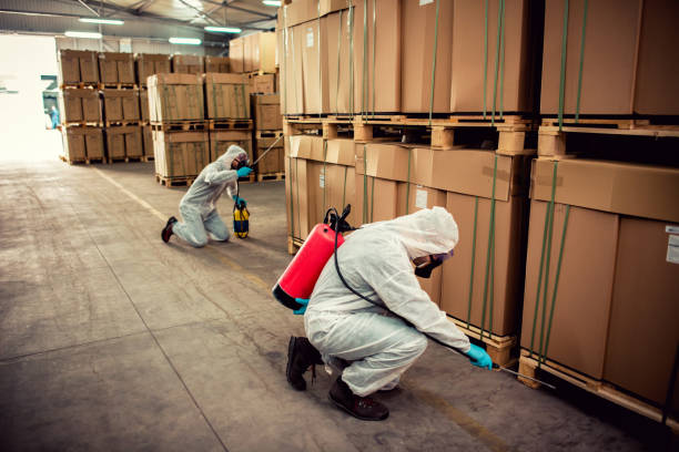 Trusted Jackson, MO Pest Control Experts