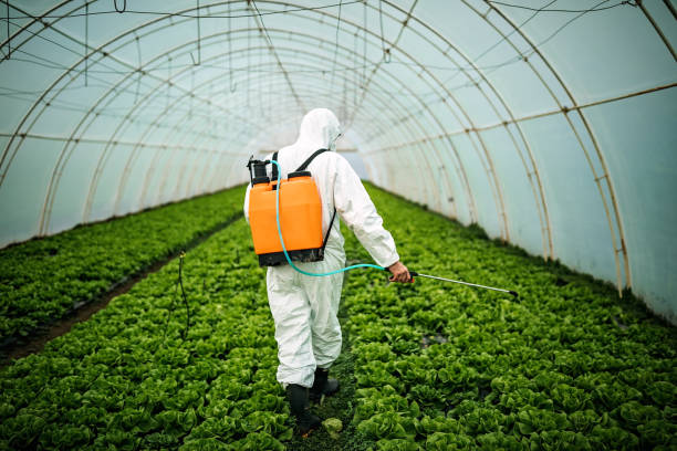Pest Control for Restaurants in Jackson, MO