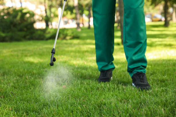 Best Best Pest Control Companies  in Jackson, MO