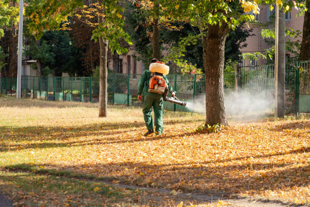 Best Wildlife Control Services  in Jackson, MO