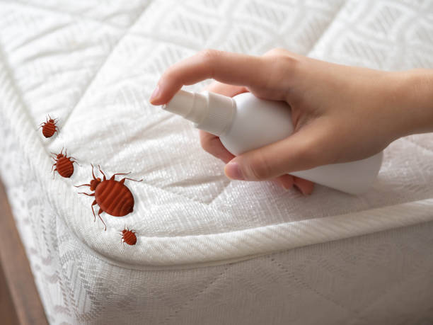 Best Pest Inspection Near Me  in Jackson, MO