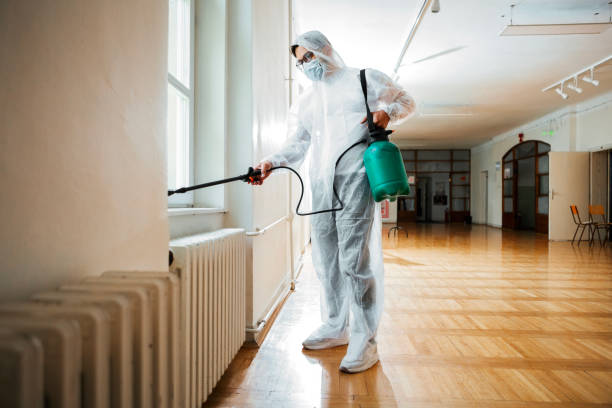 Best Flea Control Services  in Jackson, MO