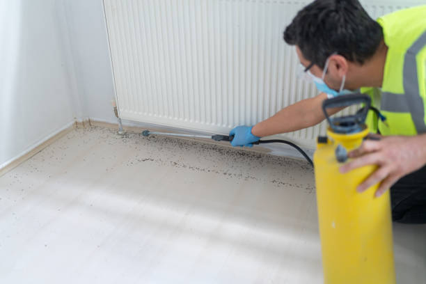Best Cockroach Control Services  in Jackson, MO