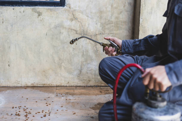 Best Pest Prevention Services  in Jackson, MO