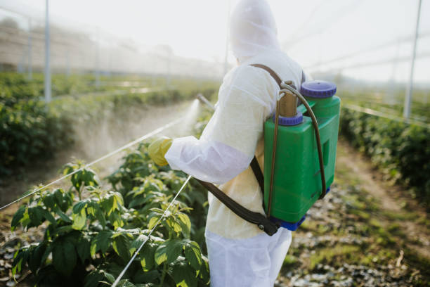 Best Affordable Pest Control Services  in Jackson, MO